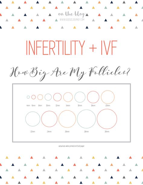 In this article well share what a typical IVF schedule might look like,. . Ivf follicle growth chart